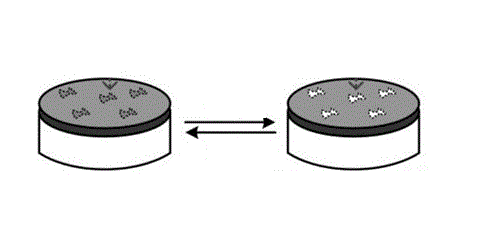 如何理解電化學氣體傳感器的優缺點？(圖1)