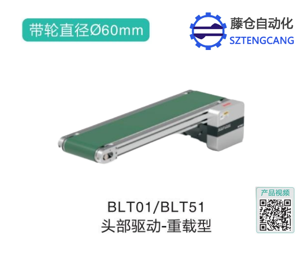重載型BLT01/BLT51頭部驅(qū)動皮帶輸送機(jī)