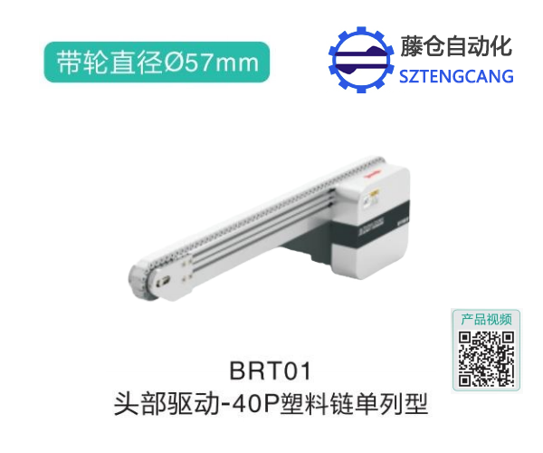 皮帶輸送機頭部驅動塑料鏈單列型BRT01